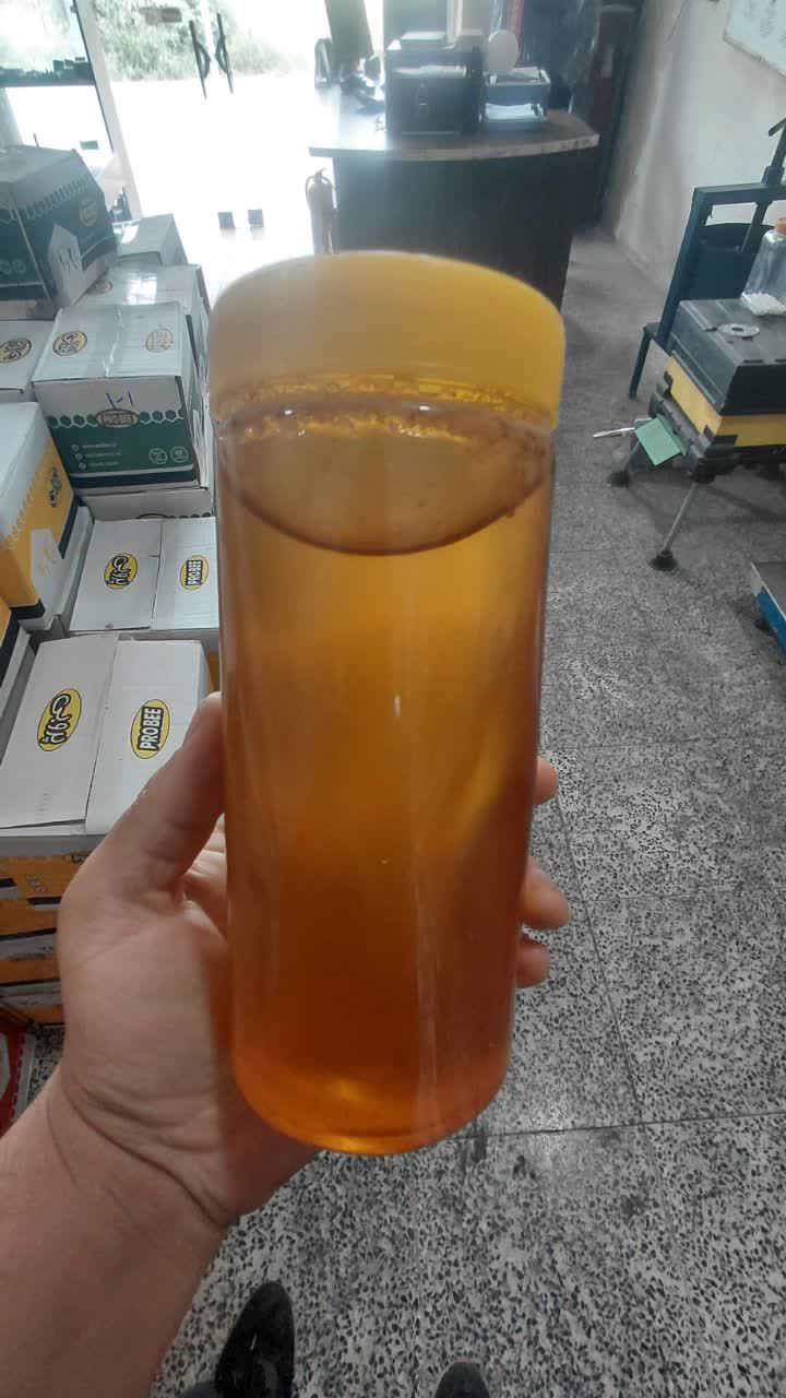 عسل